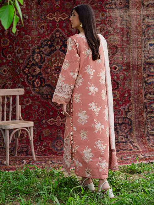 SAR-03 | 3 PC Khaddar